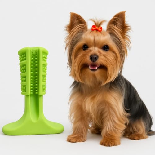 Mordedor Escova de Dente para Cachorro, Brinquedo Pet em Borracha Natural, Verde, Resistente, Pequeno, para Higiene Dental