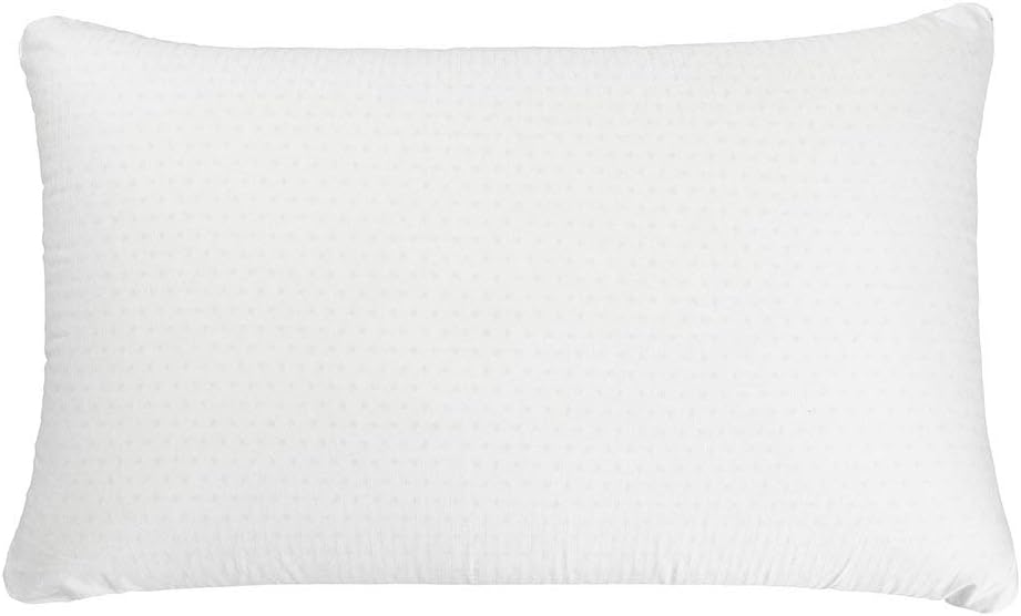 Simmons Beautyrest Beautyrest Latex Foam Pillow with Cover - 100% Talalay Latex Pillows - (Queen 2 Pack)
