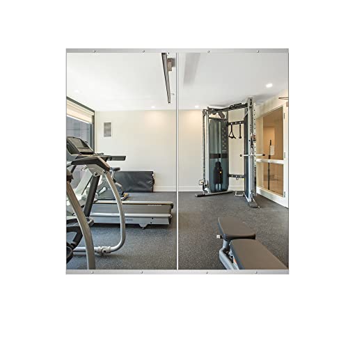 Delma Home Gym Mirror,48''x24''x2PCS Silver,Large...