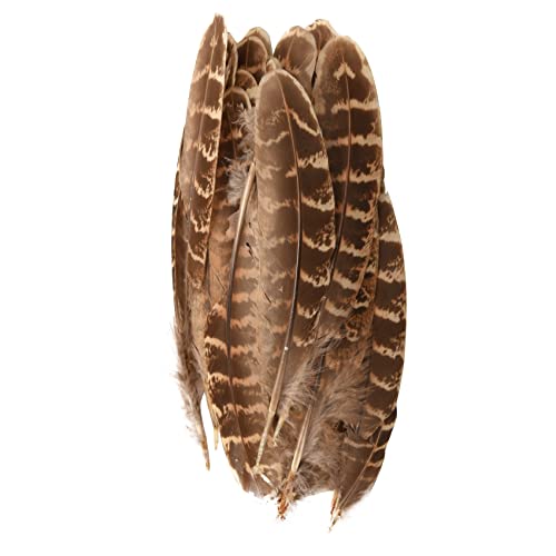 SUXIA 50Pcs Henne Fasan Flügel Federn Für Hochzeit Modewaren Kunsthandwerk Kleidung Dekor Cover