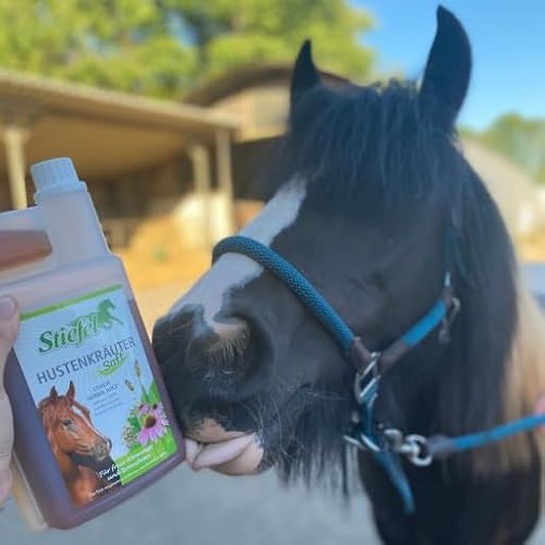 Stiefel HUSTENKRÄUTERSAFT | Doppelpack | 2 x 1 l | Ergänzungsfuttermittel für Pferde | Ausgewählte Kräutermischung | Ohne künstliche Aromastoffe | Für Atemwege und Bronchien