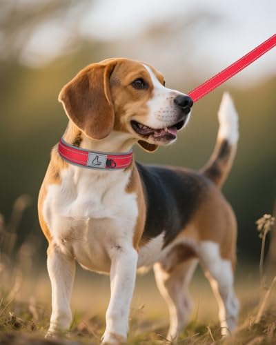 Image of Joytale Dog Collar for Medium Dogs, Neoprene Padded and Adjustable, Reflective Wide Heavy Duty Pet Collars with Durable Metal Belt Buckle for Walking, Red, M