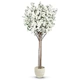 🌳 PLANTE ARTIFICIELLE RÉALISTE : Laissez-vous surprendre par l'arbre de L'amandier artificiel de Maia Shop qui dispose de troncs et de cannes de bambou naturel lui donnant une apparence hyperréaliste. Apportez une touche d'authenticité et de nature à vos espaces avec notre plante artificielle décorative, fabriquée à la main en Espagne. Cette plante est parfaite pour donner vie à n'importe quel environnement. Dimensions de la plante : 190 cm de hauteur x 100 cm de largeur.