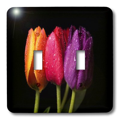 Interrupteur à bascule tulipes orange et violet au graphisme haute définition