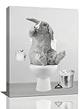 Bathroom Rabbit Wall Art Black And White Funny Rabbit Pictures Wall Decor Cute Bunny In Toilet Canva