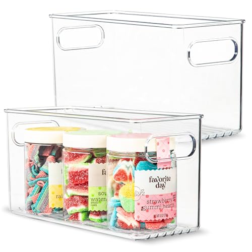 Plastic Food Storage 2 Pack Clear Container Bin with Handles