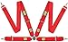 Produktbild OMP OMPDA801F61 4-Punkt Harness Racing Red Homolog. Fia 8854/98