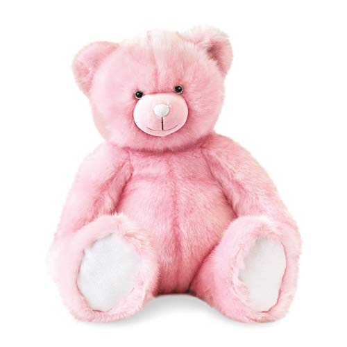 Histoire d'Ours Peluche Collection Moyenne