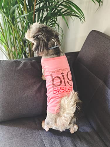 Ollypet Girl Dog Clothes Shirt Big Sister Small Medium Large Breeds Pet T Shirt Funny Outfit (Xl) #TOP3
