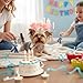 Lovelyshop Die phallenkollektion vergoldeten royal Saury-perlen mit volldressierten Hunden und Katzen Haarschmuck in X klein