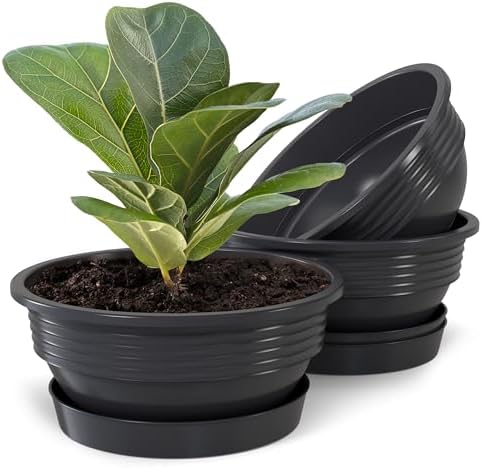Katzengras Pflanzbox Soilless Hydroponic  Praktischer Katzenminze Pflanzer  Aus Kunststoff Mit Doppeltem Design