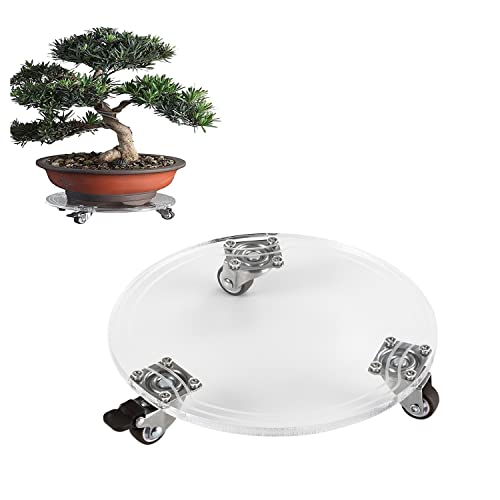 Pflanzenroller Ø 220 mm-Acrylglas-Gummi Räder | Möbelroller |Untersetzer mit Rollen | Transporthilfe für Pflanzen (220mm) Cover