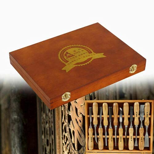 Cincel para tallar Madera, Juego de gubias, Kit de Herramientas manuales para tallar Profesional, 12 Piezas para Principiantes, Aficionados y Profesionales