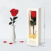 Amazon.com: Childom Valentines Day Rose Gifts for Her,Birthday Gifts ...