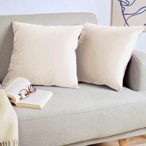 Blumtal Housse de Coussin Velours Cover