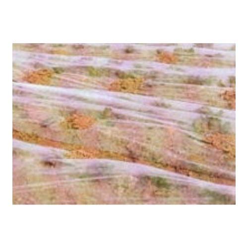 Ҋ ׂpsDz eNeNlI 60cm 200m 0.22mm 20g/m2 PLK020