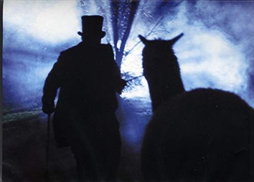 My Morning Jacket: Okonokos, The Concert