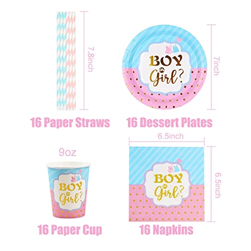 Gender Reveal Party Piatti, 64 Pezzi Boy or Girl