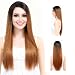 OneDor 24 Inch Kanekalon Fiber Straight Lace Front Wig - Glueless Side Part Dark Root Wigs for Women (Honey Blonde)
