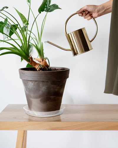 image for PACETAP 8 inch Plant Saucer Pot Tray 5 Pack, Heavy Duty Thickened PP P