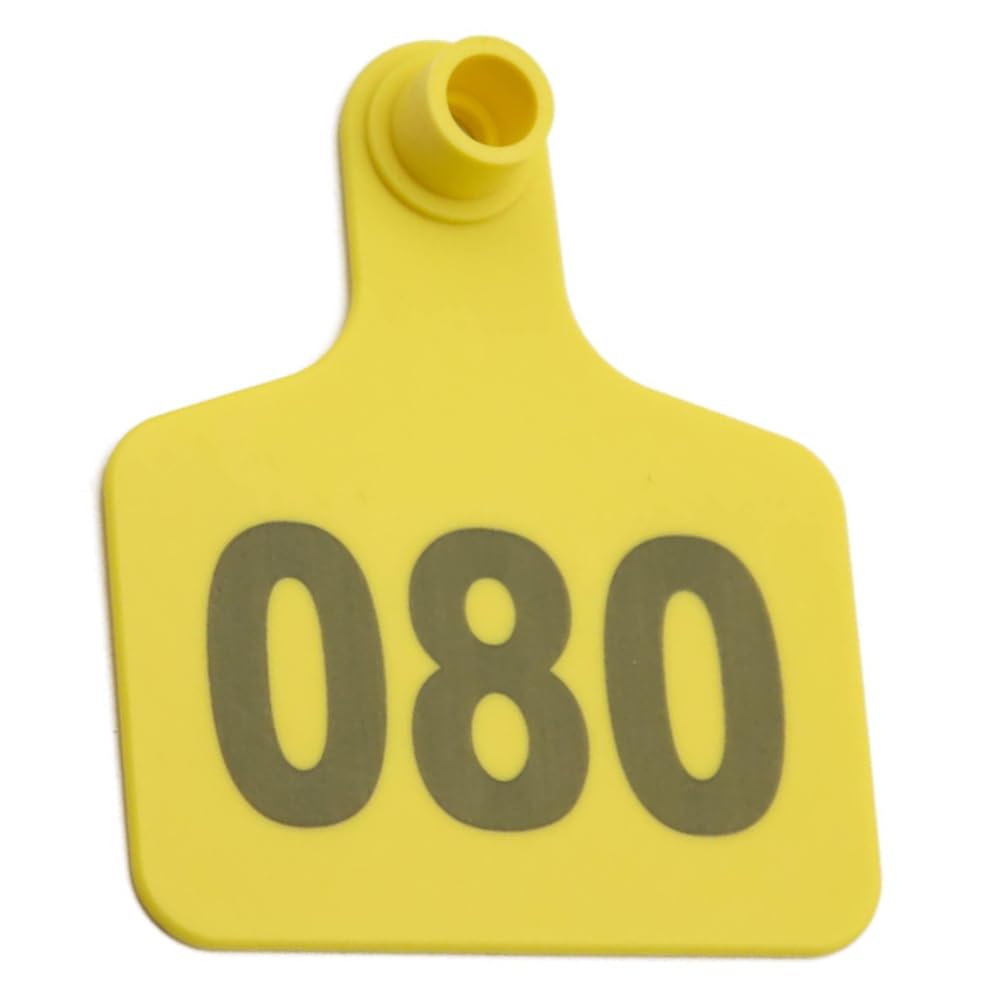 Kolczyki(Yellow,901-1000)