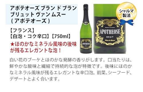 ワインプレス ヴェリタス 極上辛口スパークリングワイン 6本セット