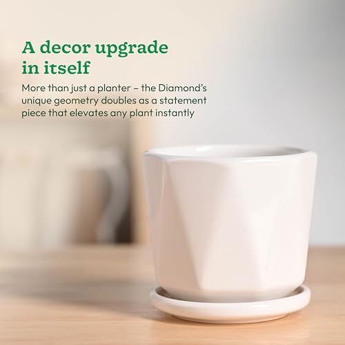 Image of UGAOO Diamond Ceramic Pot |Indoor Ceramic Planter for Home, Office, Garden, Balcony - White (4 Inch)