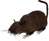 FIESTAS GUIRCA | Rata Marrón de Decoración (15 cm) - Accesorio Realista para Fiestas de Halloween y Celebraciones de Animales - Ideal para Ambientes Espeluznantes y Escenarios Terroríficos - Marrón