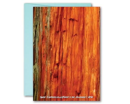 ChronicallyFunny Taylor Knock on Wood Valentine's Day Card Husband Card The Life of a Showgirl Greeting Card 5x7 inch w/Envelope (Knock on Wood)