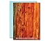 ChronicallyFunny Taylor Knock on Wood Valentine's Day Card Husband Card The Life of a Showgirl Greeting Card 5x7 inch w/Envelope (Knock on Wood)