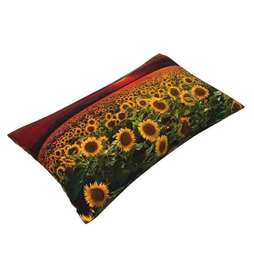 Housses de coussin coucher de soleil pour un salon ambiance cocooning
