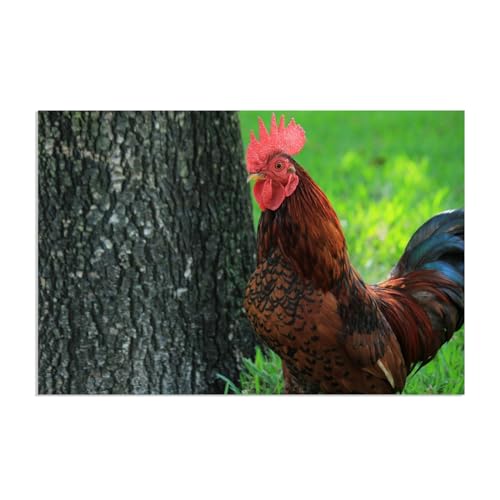 Tableau coq et poule 90x60cm pour habiller un grand mur vide sans cadre