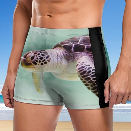 Swimming trunks homme tortue brune pour la natation
