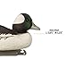 Higdon Outdoors Standard Bufflehead Floater Duck Decoys | Ultra Realistic Drake & Hen Decoys for Waterfowl Hunting | 6 Upright Drakes| Foam-Filled | 6pk
