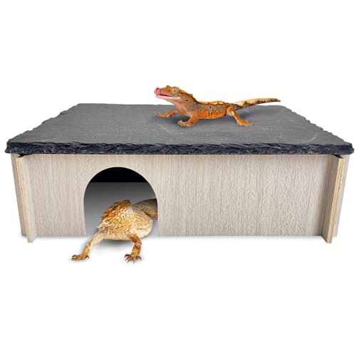 Peau de serpent en bois avec ardoise chauffante pour grand python