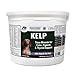 Dogzymes Certified Organic Norwegian Kelp Pet Supplement, 6-Pound