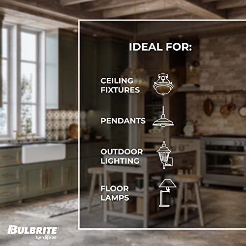 Bulbrite 134019 40W Nostalgic Edison Squirrel Cage-Style Bulb #TOP4