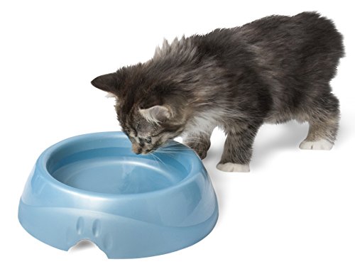 Petmate Petmate 2-Cup Ultra Lightweight Dog Dish, Medium, Assorted Color - Thumbnail 4