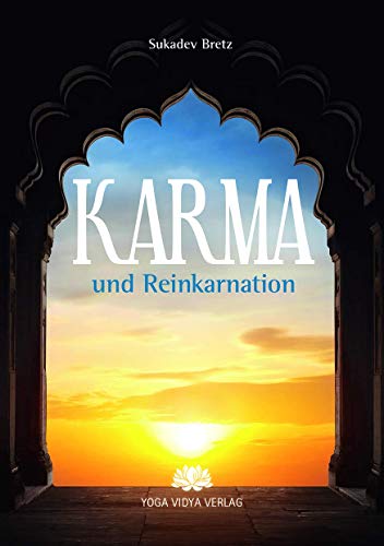 Preisvergleich Produktbild Karma und Reinkarnation