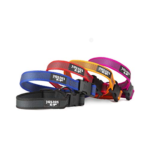 JULIUS K-9 220CG-PN Color & Gray Halsband, 20mm*27-42 cm, verstellbar, pink-grau, 20 mm (27-42 cm)