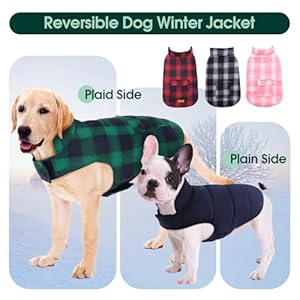 Kuoser Reversible Dog Jacket Warm Winter Coat for Puppies Dogs Windproof Green Sizes S M L