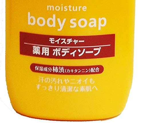 Kumano Medicated Persimmon Shibu Body Soap 600ml - Image 3