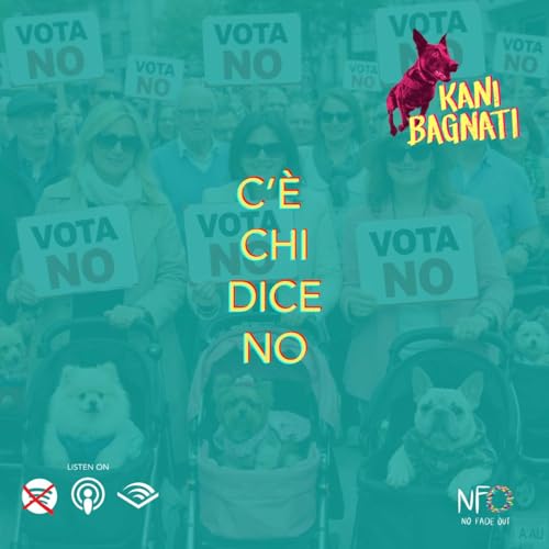 C'&egrave; chi dice NO - S07E21