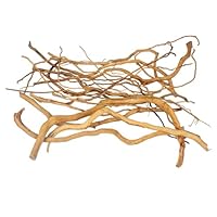 emours natürliches Aquarium Treibholz, [170 g] (40–80 cm / 16–32 Zoll) – Einzigartige Wurzel-/Spinnenholzzweige für Aquascaping, bepflanzte Aquarien & Terrarien, Dekoration für Fische & Pflanzen