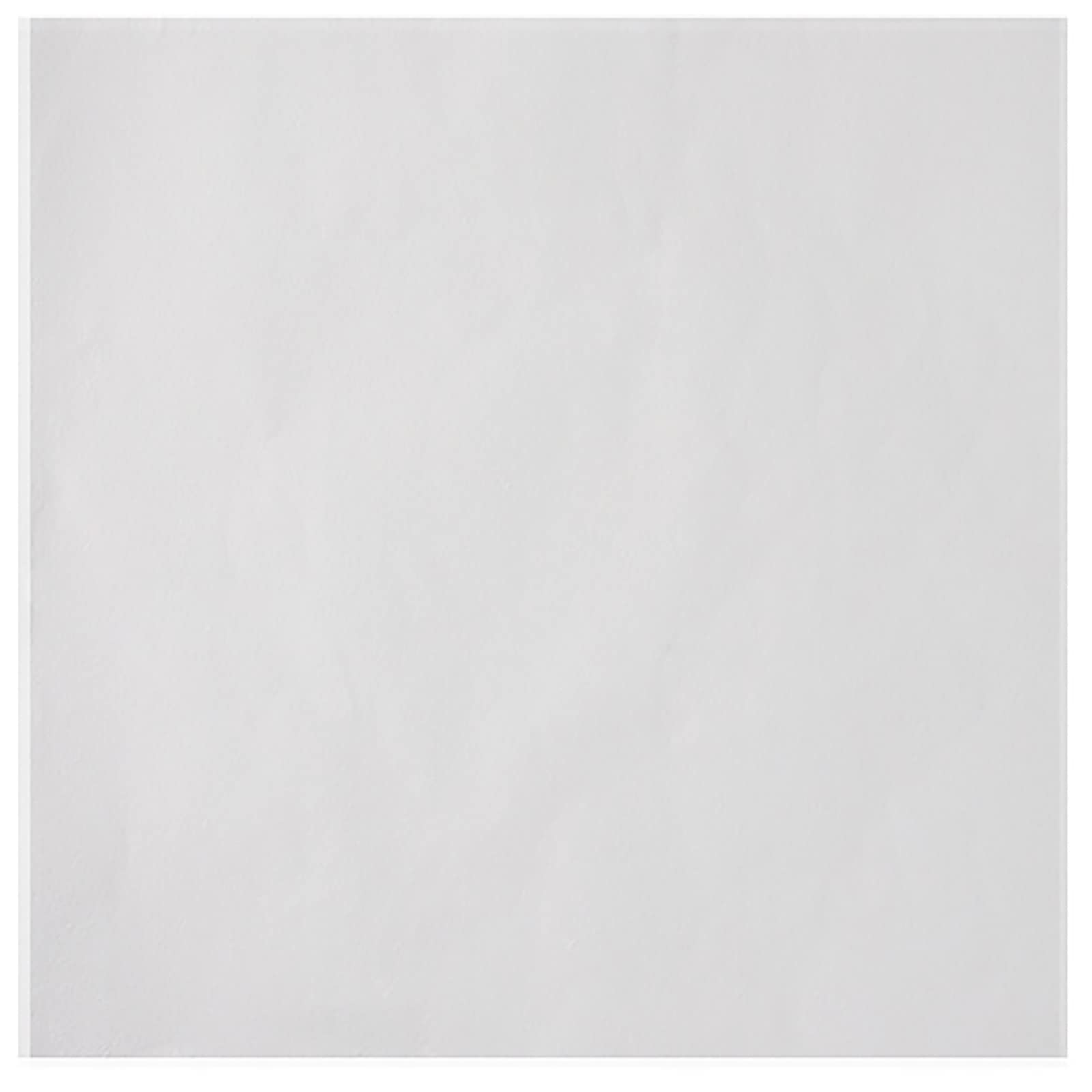 Papier de bœuf pour hamburger : lot de 200 disques de cire anti-adhésifs de 22x22 cm