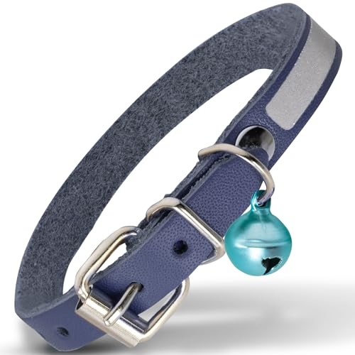 Filbert U[LցA˔LցAxtU[ANZT[xAOɓK񕪗AϋvAX^CbVȃfUCACu[