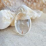  Diente de león Semilla Pide un deseo Real Flores Transparente Vaso Colgante Plata Esterlina 925 Cadena Collares