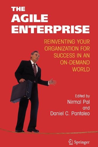 The Agile Enterprise (Springer Compass Internat... 0387505709 Book Cover