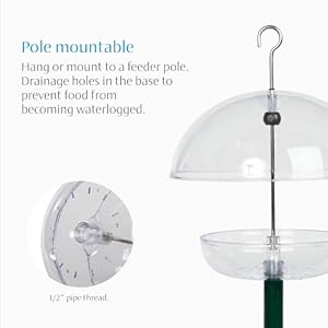 Bluebird Feeder Jacobi Jayne Pearl Feeder Dome Bird Feeder for Small Birds Bluebird Feeder for Mealworms Platform Bird Feeder Dome Cover Covered Mealworm Feeder attracts Blue Birds