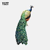 Perfekt für Gitarre Drum Laptops Skateboards, Gepäck, Autos, Stoßstangen, Fahrräder, Fahrräder, Schlafzimmer, Travel Case, Fahrrad, Motorrad, Snowboard